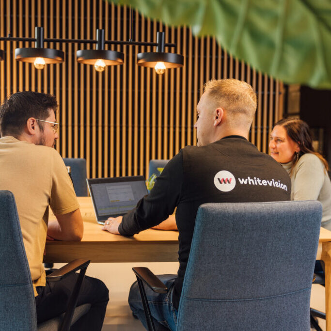 Whitevision_beeldbank-13-deel2-4